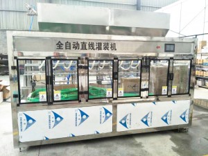 直线成人91看片网站